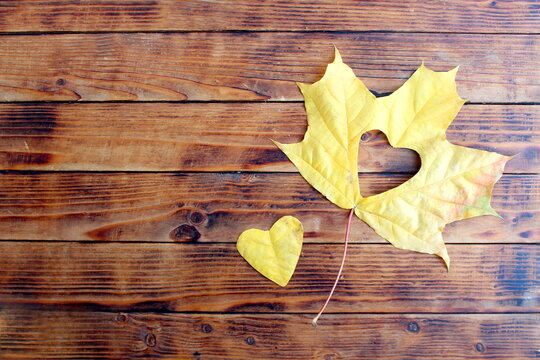 There is a yellow maple leaf with a heart cut out on it on a wooden table. - Powered by Adobe