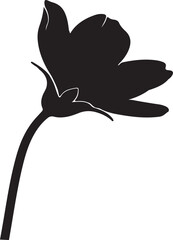 Black silhouette of a single delicate flower with five petals on a slender stem plant nature