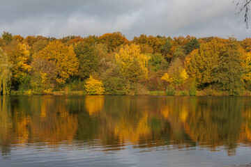 Herbstzeit an einem See im Münsterland