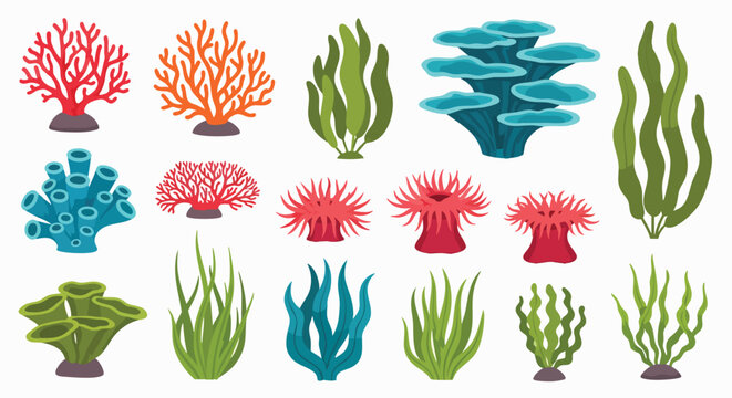 Colorful underwater coral reef seaweed anemone vector collection marine life ocean sea flora aquatic ecosystem nature design flat illustration