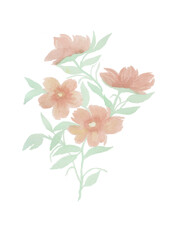 pink  flower and green watercolour leaf arrangement collection