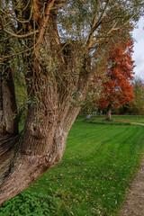 Herbstzeit an einem See im Münsterland