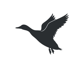 Duck Flying Vector Bird Duck Silhouette Illustration Wild Fauna