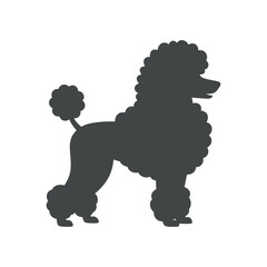 Poodle Silhouette Vector Graphic Design Illustration Breed Icon