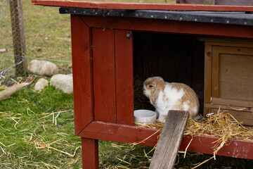 Indoor farm play area with hay bales, colorful balls and picnic tables, family-friendly countryside attraction.