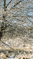 fields covered with snow against the background of blue sky