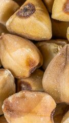 buckwheat with visible details. extura or background