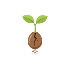 Illustration of a cracked seed sprouting with green leaves and roots on a transparent background