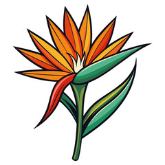 Find beautiful bird of paradise flower illustration vector art design element for graphics and prints