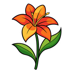 Download beautiful orange lily flower illustration vector image for free floral designs art work