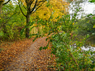 Goldener Oktober im Münsterland