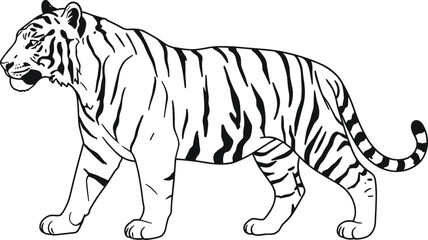 Tiger line drawing, black and white sketch, wildlife illustration, jungle animal, majestic predator, side profile, nature art, conservation symbol