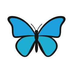 Fototapeta premium Blue butterfly illustration with elegant black outline capturing the beauty of nature and insect life