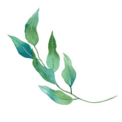 Fototapeta premium Green eucalyptus branch. Watercolor hand drawn illustration isolated on white background. For design, posters, cards, postcards, stickers, flyers