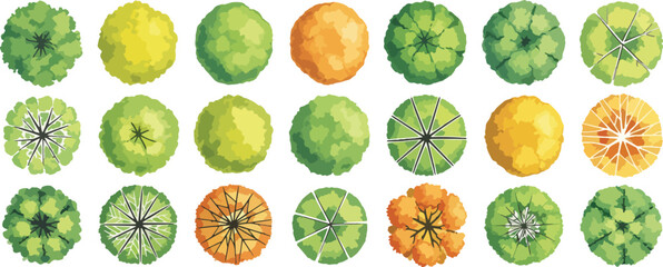Overhead view of various tree shapes and colors, , for architectural and landscape design plans © jannat Stock