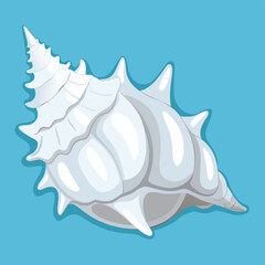 seashell on blue background vector illustration