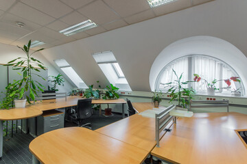 Modern office space with plants and natural light in a loft-style environment