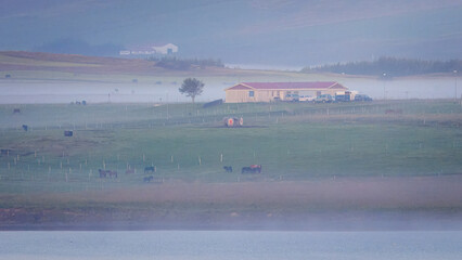 On a peaceful, Eyjafjörður Fjord sailing into Akureyri, misty start to a beautiful day, August 2025 