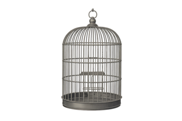Ornate Metal Bird Cage Isolated On Black Background Keywords: bird cage, metal, ornate, vintage