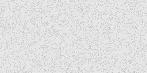 Grey contours vector topography geographic mountain relief isolated on texture background, abstract wavy and curved lines topographic map contour art seamless pattern terrain background.