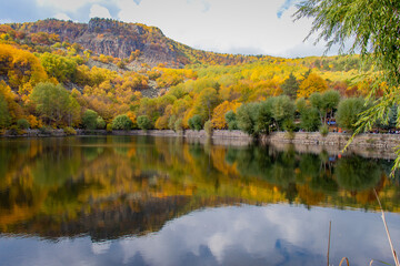 Naklejka premium autumn landscape with lake
