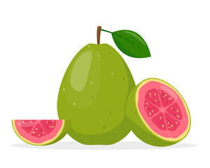 Green Guava exotic fruit. Whole bright summer tropical fruit guava and parts for healthy food. Vector illustration isolated on white background.