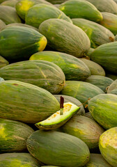 A juicy Asian melon. A harvest of ripe melons lies in a large pile in a field in the sunset light. A close-up of many melons.