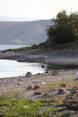 the coast of the river