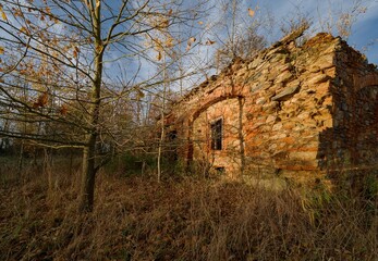 View of the remains of a farmhouse in the Vysočina region, brick walls, November afternoon, slightly cloudy sky, yellow leaves on trees, November, low sun