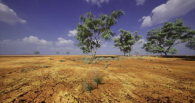 Dry, cracked earth spreads beneath a clear blue sky, where scattered trees struggle for survival. The landscape captures the harsh realities of natures cycles in a remote area during midday.
