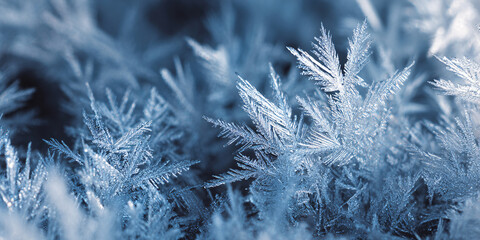 Frost macro texture. Ice crystals on glass. Cool blue tones. Detailed winter background. New Year. Frost and cold.
