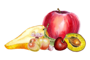 Watercolor composition with red appl, pear slice cherry plum half and blossoms. Illustration for food packaging, juice labels kitchen prints fruit markets and healthy eating themes.