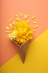 Beautiful flowers in an ice cream cup, the concept is fresh and bright, summer springtime