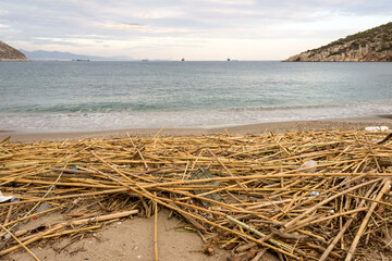 A sandy beach on an island in Greece is filled with a variety of debris brought by the waves of the sea. The concept of marine pollution, pollution of ocean water by plastic, garbage and human waste.