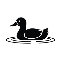 Black duck swimming in rippling water on white background