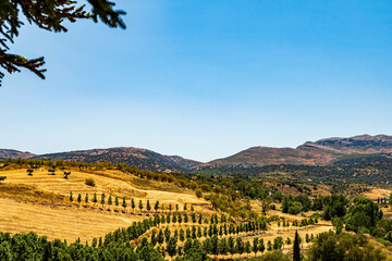 view of the mountains and fields in Spain © Robert