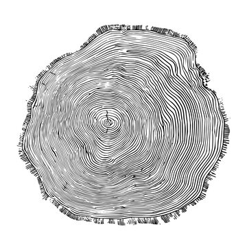 Tree ring cross section illustration black and white wood texture growth rings annual rings tree stump vector