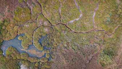 Aerial view shows intricate patterns of green marshland and winding river channels, highlighting the vulnerable ecosystem and environmental health in Medas Islands