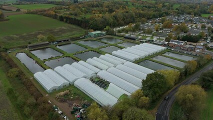 Aerial drone view of fish rearing aquaculture facility, fish ponds with fry for restocking in rivers, greenhouse poly tunnels in Calverton, United Kingdom 