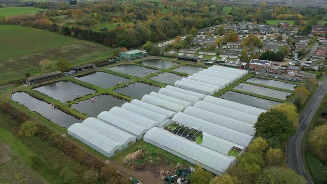 Aerial drone view of fish rearing aquaculture facility, fish ponds with fry for restocking in rivers, greenhouse poly tunnels in Calverton, United Kingdom 