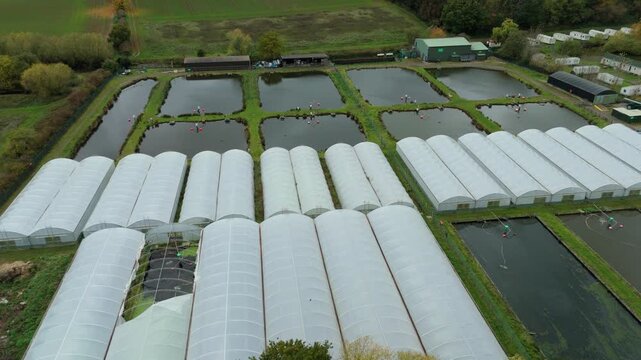 Aerial drone view of fish rearing aquaculture facility, fish ponds with fry for restocking in rivers, greenhouse poly tunnels in Calverton, United Kingdom 