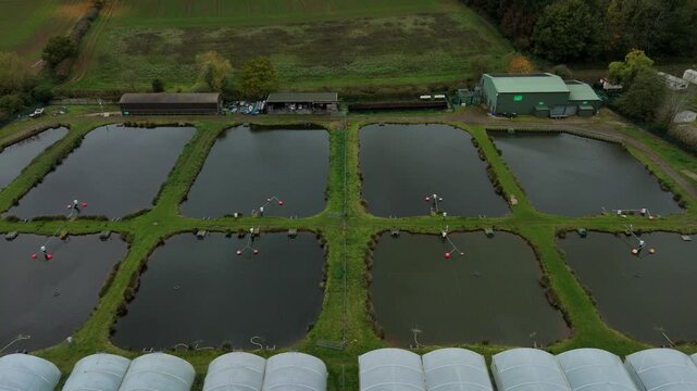 Aerial drone view of fish rearing aquaculture facility, fish ponds with fry for restocking in rivers, greenhouse poly tunnels in Calverton, United Kingdom 