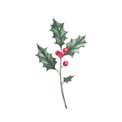 Christmas holly with green leaves and red berries. Hand-painted watercolor illustration. Isolated on a white background. For invitational and greeting cards, scrapbooking, posters, prints.