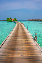 Tranquil closeup calm sea water waves with palm trees. Beautiful Panorama, Tropical island beach landscape exotic shore coast. Summer vacation, holiday amazing nature. Relax paradise, Maldives.