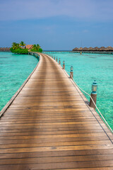 Tranquil closeup calm sea water waves with palm trees. Beautiful Panorama, Tropical island beach landscape exotic shore coast. Summer vacation, holiday amazing nature. Relax paradise, Maldives.
