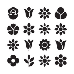 Fototapeta premium Floral elements isolated on white background featuring various flower shapes
