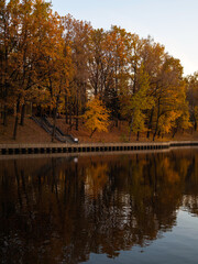 orange and brown trees in the park, reflection of autumn foliage in a pond in November