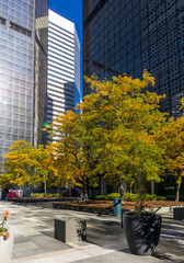 A view of renovated 16th street in downtown Denver, Colorado