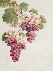 Grape and Flower Elegance: A delicate composition of luscious purple grapes and delicate flowers, artfully arranged to capture the essence of natural beauty.