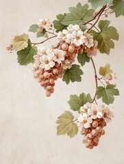 Grapevine's Delicate Elegance: A close-up view unveils the intricate beauty of a grapevine, showcasing clusters of ripe grapes alongside delicate blossoms and lush foliage. The scene exudes freshness.